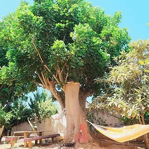 casa-dada-marinella-di-selinunte.sicilyhotelsitaly.net/